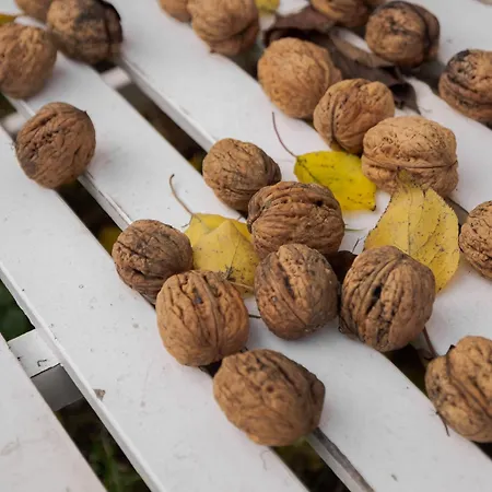 Solbjerggaard Appartamento