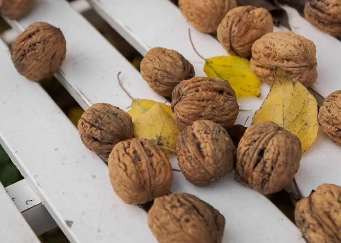 Solbjerggaard Appartamento