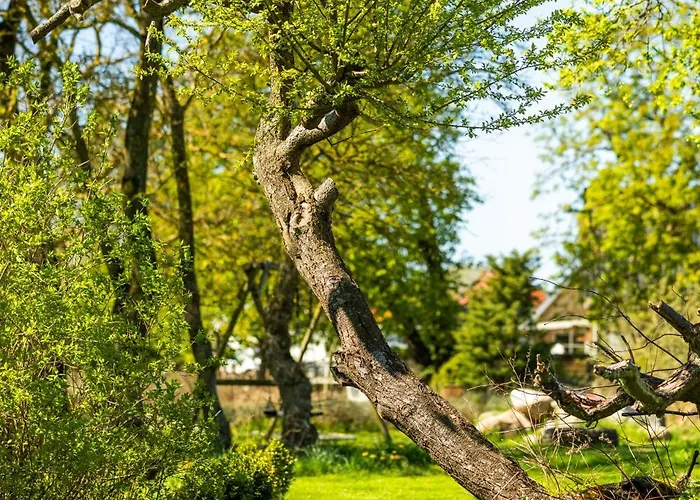 Appartamento Solbjerggaard Fåborg