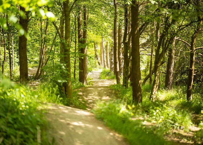 Solbjerggaard * Fåborg