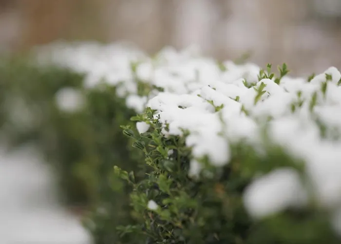 Appartamento Solbjerggaard *